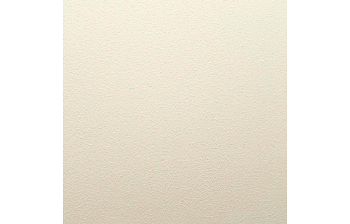 Sheepskin Texture Art Paint